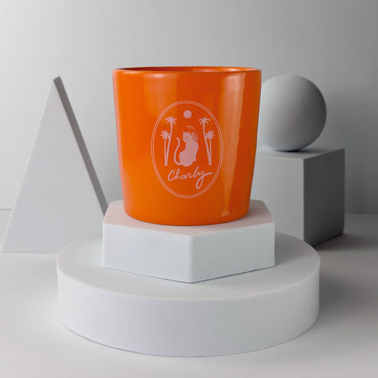 ENVOÛTANTES ÉPICES